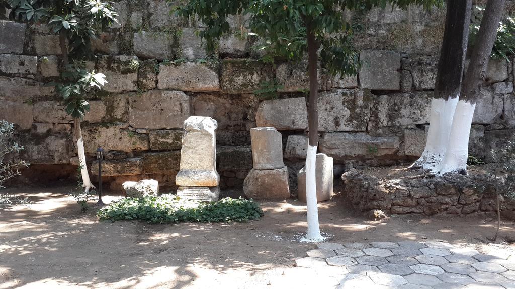 Citrus Garden Otel