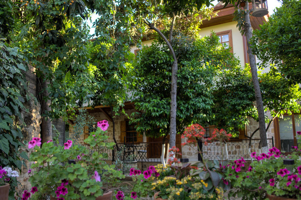 Otel Citrus Garden