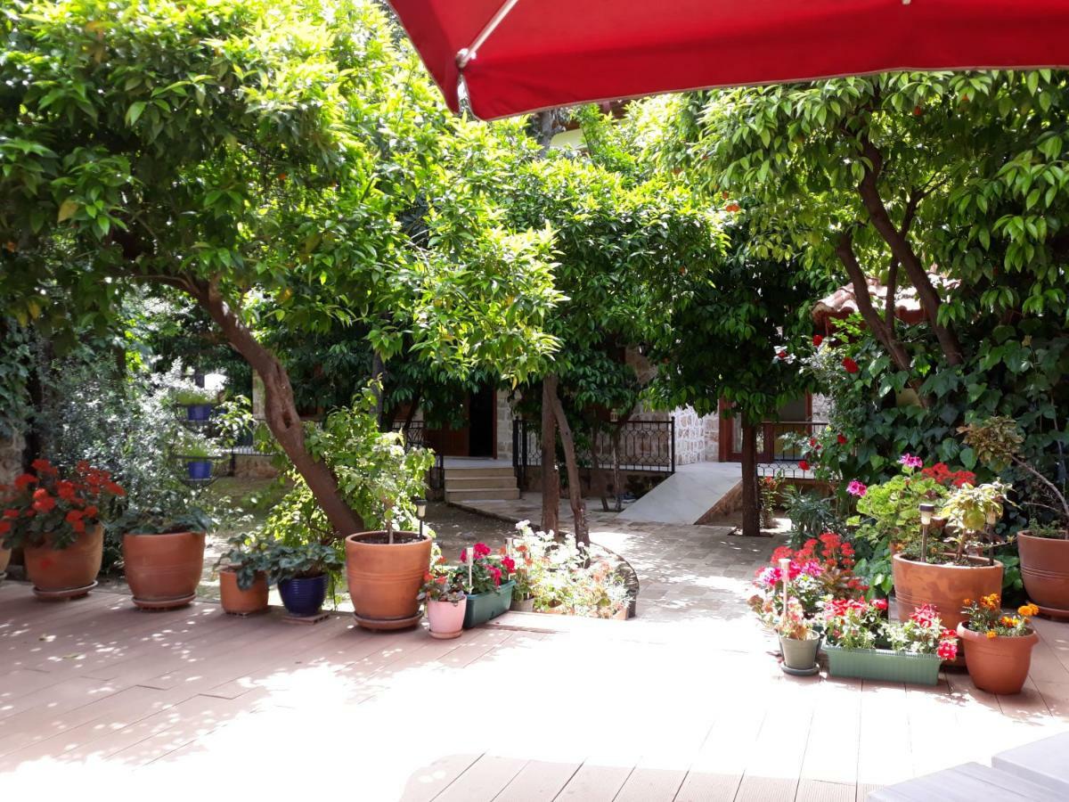Otel Citrus Garden